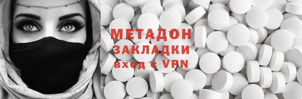 дживик Ельня
