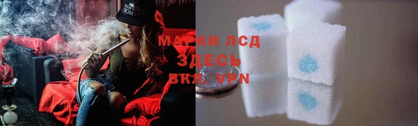 spice Арсеньев