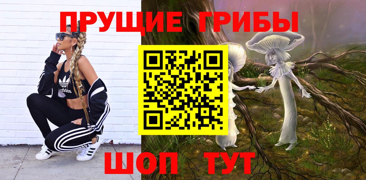 Псилоцибиновые грибы мицелий  Псилоцибиновые грибы Psilocybe  магазин    Ахтубинск  Вход с VPN 